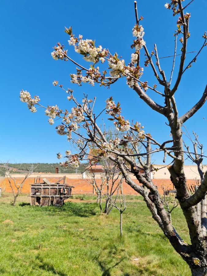 Casa Rural Las Águedas Murias de Rechivaldo Exterior foto